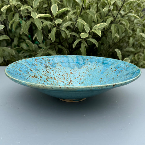 Bowl - serving / display